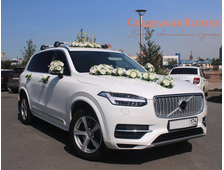 Volvo XC90 New