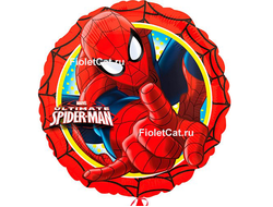 Человек - паук круг