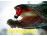 Мормышка вольфрамовая &quot;Народная&quot;