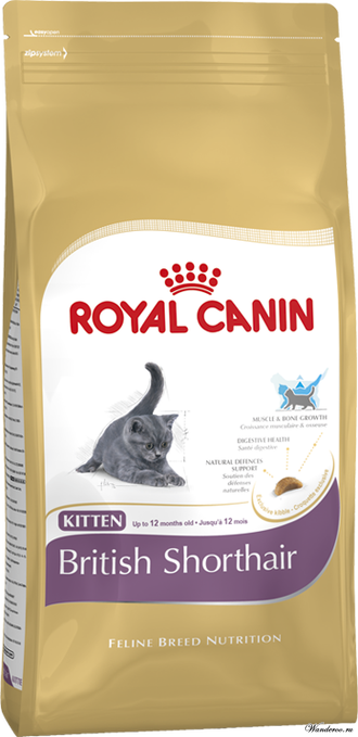 Royal Canin British Shorthair Kitten Роял Канин Киттен Бритиш Шортхэйр Корм для котят породы британская короткошерстная 2 кг