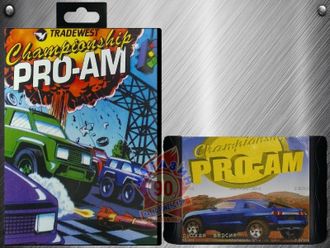 Pro-am championship, Игра для Сега (Sega Game)