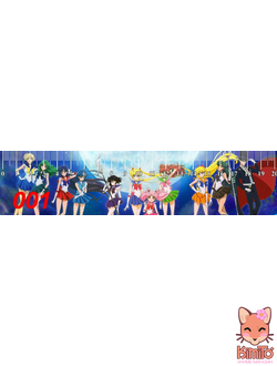 Sailor Moon/ Сейлор Мун линейка ламинированная в ассортименте
