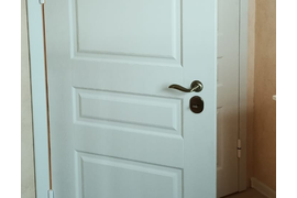 дверь стальная с накладками мдф в доме (лестница-коридор). пос. лесной остров