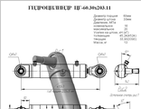 Гидроцилиндр рулевого управления ЦГ-60.30х203.11 (правый)