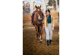 Обучение верховой езде в конном манеже с фотосессией