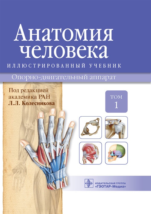 анатомия гайворонский скачать том 1