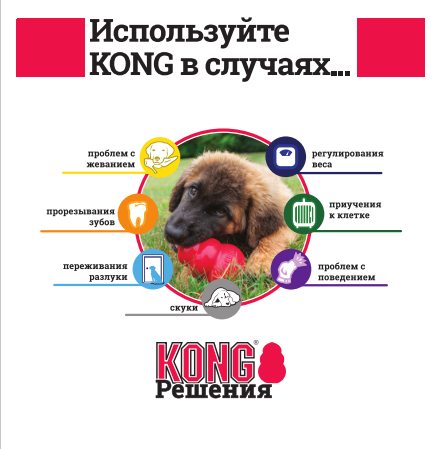 Купить игрушки для собак Kong в интернет-магазине зоотоваров FoodForPets