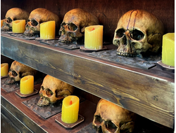 Cabinet with skulls