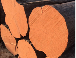 TEAK 109955 G (Тиковое дерево) парфюмерная база