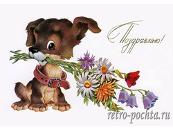 7111 В Четвериков 1980 г
