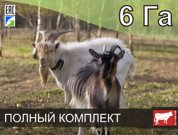 Электропастух СТАТИК-3М для коз на 6 Га - Удержит даже самого наглого козла!