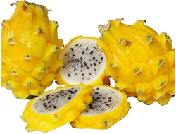 Пітахайя жовта (Пітайя)  | Dragon fruit yellow
