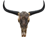 резной, череп, узор, буйвол, корова, рога, орнамент, карвинг, кость, интерьер, голова, дизайн, skull