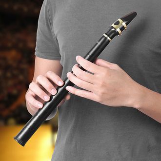 Zebra™ Pocket Saxophone Мини-саксофон с 8 отверстиями в ключе Bb с альт мундштуком