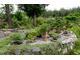 Экскурсия в Ботанический сад (Академгородок): 2 оранжереи