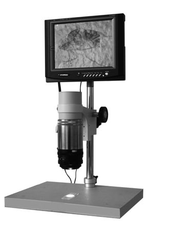 Трихинеллоскоп с электронным выводом изображения Стейк-V