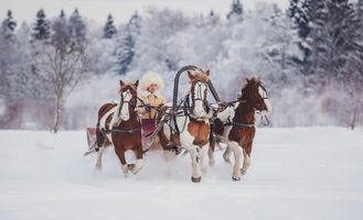 Выезды, фото сессии, катание