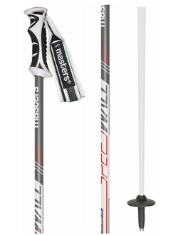 Палки горнолыжные MASTERS SPEEDWALL white