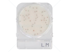 Подложки Compact Dry LM (листерия моноцитогенес)