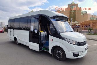 Автобус FOXBUS. 31 место