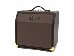 Belcat Acoustic-15C