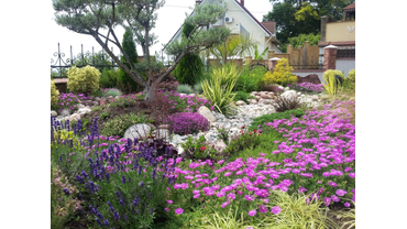 Озеленение  в Сочи. Ландшафтный дизайн 