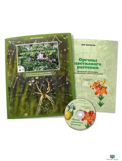 Органы цветкового растения, электронное наглядное пособие (СD-диск)