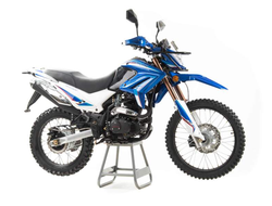 Купить Мотоцикл Motoland XR250 Enduro 172