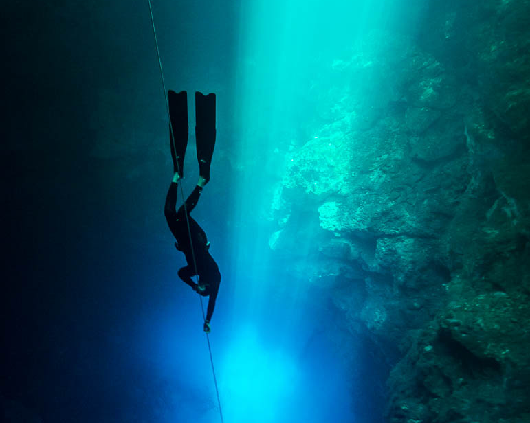 Курс обучения Deep Diver