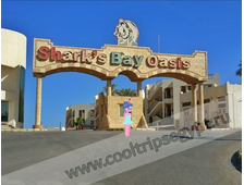Sharks Bay Oasis 3*