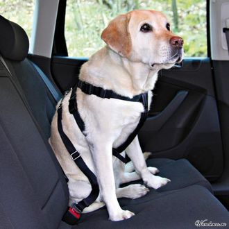 А/м ремень безопасности для собак 3070 см  Trixie 1290