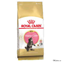 Royal Canin  Kitten Maine Coon Роял Канин Киттен Мейн Кун Корм для котят породы мейн кун 4 кг