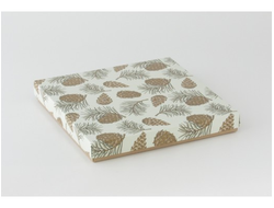 Коробки на 10 печений Без окна (24*24*3 см)