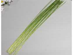 Проволока для изготовления искусственных цветов &quot;Зелёная хром&quot; длина 40 см сечение 0,7 мм, 10 шт