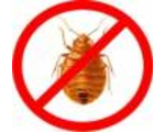 Дезинсекция - уничтожение всех видов насекомых: клопы, тараканы, муравьи, клещи, жучки, мокрицы и т.д.