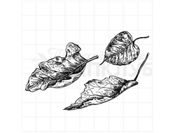 Штамп пожухлые листья