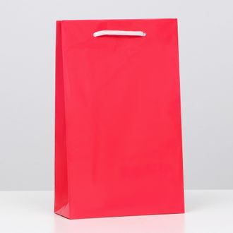Пакет подарочный ламинированный с Ручкой, Красный, 26,5 х 16,5 х 7 см, 1 штука