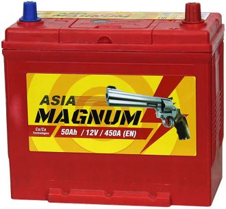 Автомобильный аккумулятор Magnum Asia 50 Ач п/п тонк. выводы