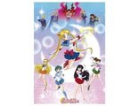 Постер ABYstyle: SAILOR MOON: Poster Moonlight power (98x68)