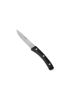 Нож для стейка 120/229 мм. ручка пластик, лезвие зубчатое Ангус Abert /1/ ТП