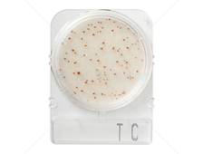 Подложки Compact Dry TC (общее бактериальное загрязнение)