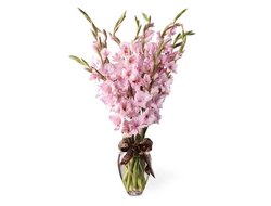 Гладиолусы в букете Щедрая Любовь