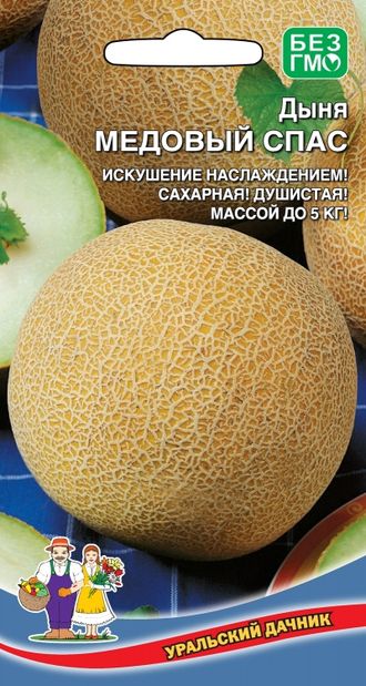 Дыня Медовый Спас Уральский Дачник