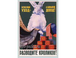 7494 Г Щеткин плакат 1957 г