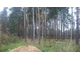 Эксклюзивный лесной участок 40 соток в поселке Ильинский,Раменский район.