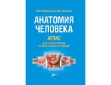 Анатомия человека. Атлас для стоматологов, стоматологов-ортопедов. Литвиненко Л.М., Никитюк Д.Б. &quot;Литтерра&quot;. 2017