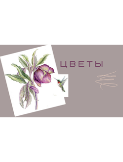 Доставка цветов по Санкт-Петербургу