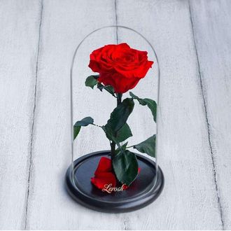 Стабилизированная роза в колбе Lerosh - Mini 27 см, Красная
