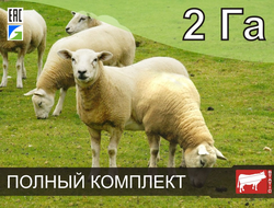 Электропастух СТАТИК-3М для овец и ягнят на 2 Га - Удержит даже самого наглого барана!