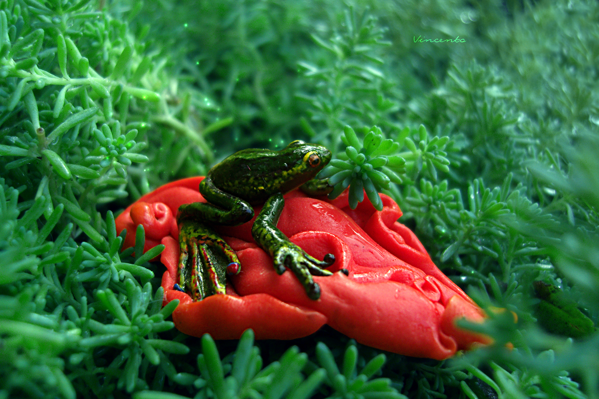 Необычная брошка с реалистичной лягушкой на красном лепестке, анималистика, авангардное украшение